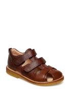 ANGULUS Sandals - Flat - Closed Toe - Brun