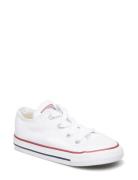 Chuck Taylor All Star Seasonal Shoes Sneakers Canva Sneakers White Con...