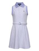 Belted Striped Knit Oxford Polo Dress Dresses & Skirts Dresses Casual ...