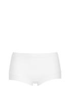 Damella Of Sweden Maxi Brief Vit