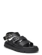 Rebecca Buckle Platta Sandaler Black Shoe The Bear