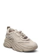 Steve Madden Possession-E Sneaker Beige