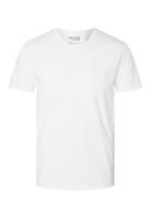 Selected Homme Slhnewpima Ss O-Neck Tee Noos Vit