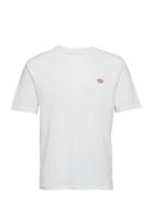 Ss Mapleton Tee Designers T-shirts Short-sleeved White Dickies