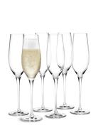 Holmegaard Cabernet Champagneglas 29 Cl 6 Stk. Nude