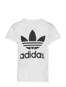 Trefoil Tee Tops T-shirts Short-sleeved White Adidas Originals