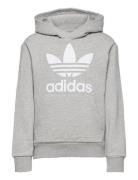 Trefoil Hoodie Tops Sweat-shirts & Hoodies Hoodies Grey Adidas Origina...