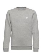 Crew Sport Sweat-shirts & Hoodies Sweat-shirts Grey Adidas Originals