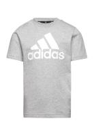 Adidas Sportswear U Bl Tee Grå