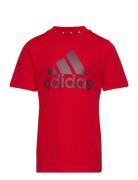 U Bl Tee Sport T-shirts Short-sleeved Red Adidas Sportswear