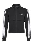 Tr-Es 3S Tj Sport Sweat-shirts & Hoodies Sweat-shirts Black Adidas Per...