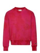 Crewneck Sweatshirt Sport Sweat-shirts & Hoodies Sweat-shirts Red Cham...