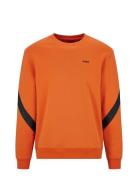 Ditron Designers Sweat-shirts & Hoodies Sweat-shirts Orange HUGO