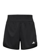 Pacer Essentials Knit High Rise Short Sport Shorts Sport Shorts Black ...