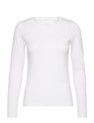 NORVIG Women's L/S Tee Vit