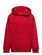 Kids Boys Sweatshirts Tops Sweat-shirts & Hoodies Hoodies Red Abercrom...