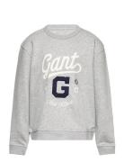 GANT Relaxed Graphic Sweat C-Neck Grå