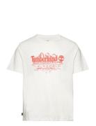 Timberland Short Sleeve Graphic Slub Tee Vintage White Vit