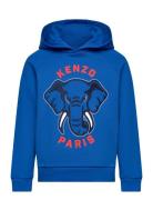 Hooded Sweatshirt Tops Sweat-shirts & Hoodies Hoodies Blue Kenzo