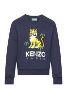 Sweatshirt Tops Sweat-shirts & Hoodies Sweat-shirts Navy Kenzo