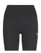 Shapeluxe Seamless Hw 6" Short Tight Sport Shorts Cycling Shorts Black...