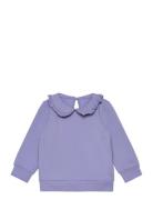 Nmftami Sweat Bru Box Tops Sweat-shirts & Hoodies Sweat-shirts Purple ...