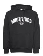 Fred Ivy Hoodie Designers Sweat-shirts & Hoodies Hoodies Black Wood Wo...