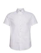 Shirt Designers Shirts Short-sleeved White Emporio Armani