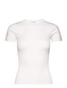 Rosemunde Silk T-Shirt W/ Lace Vit