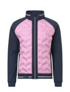 Abacus Lds Grove Hybrid Jacket Rosa