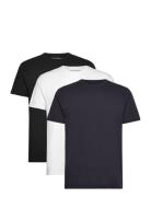 Bs Antiqua Regular Fit T-Shirt Tops T-shirts Short-sleeved Black Bruun...