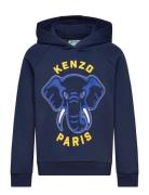 Kenzo Hooded Sweatshirt Marinblå