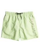 All Day Heritage Lb Badshorts Green Billabong