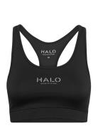 Halo Women Lingerie Bras & Tops Sports Bras - All Black HALO