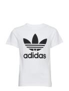 Adidas Originals Trefoil Tee Vit