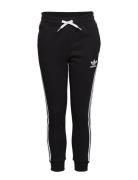 Adidas Originals Trefoil Pants Svart