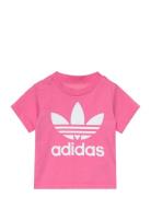 Adidas Originals Trefoil Tee Rosa