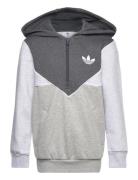 Adidas Originals Hz Hoodie Grå