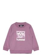 Hmlcitrus Sweatshirt Sport Sweat-shirts & Hoodies Sweat-shirts Pink Hu...