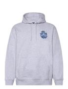 VANS Vans Circle Loose Fit Fleece Po Hoodie Grå