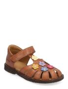 ANGULUS Sandals - Flat - Closed Toe - Brun