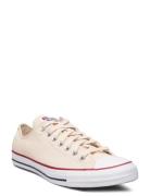 Converse Ctas Ox Natural Ivory Beige