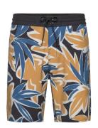 Og Print 18" Cruzer Badshorts Multi/patterned O'neill