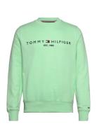 Tommy Hilfiger Tommy Logo Sweatshirt Grön