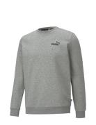 Ess Small Logo Crew Fl Sport Sweat-shirts & Hoodies Sweat-shirts Grey ...
