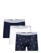 Polo Ralph Lauren Underwear Classic Stretch-Cotton Trunk 3-Pack Marinb...