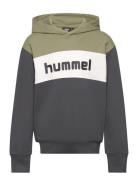 Hummel Hmlmorten Hoodie Grön