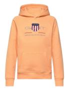 GANT Archive Shield Hoodie Korall