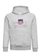 GANT Archive Shield Hoodie Grå