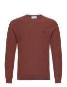 Calvin Klein Cotton Nylon Mouline Sweater Burgundy